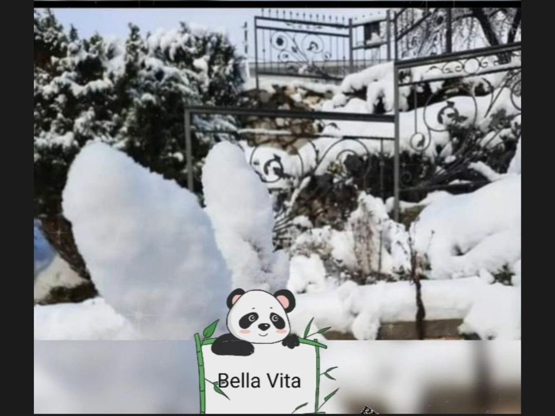 Apartman Bella Vita 콜라신 객실 사진